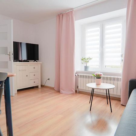 Apartament Rosiczka Διαμέρισμα Duszniki Zdrój Εξωτερικό φωτογραφία